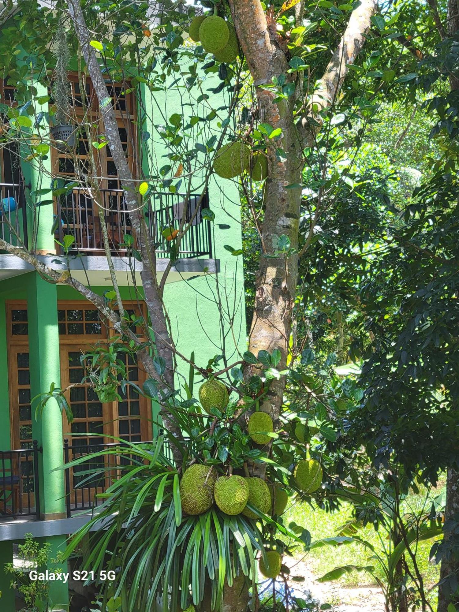 Barefoot Bungalow Hikka هيكادوفا المظهر الخارجي الصورة