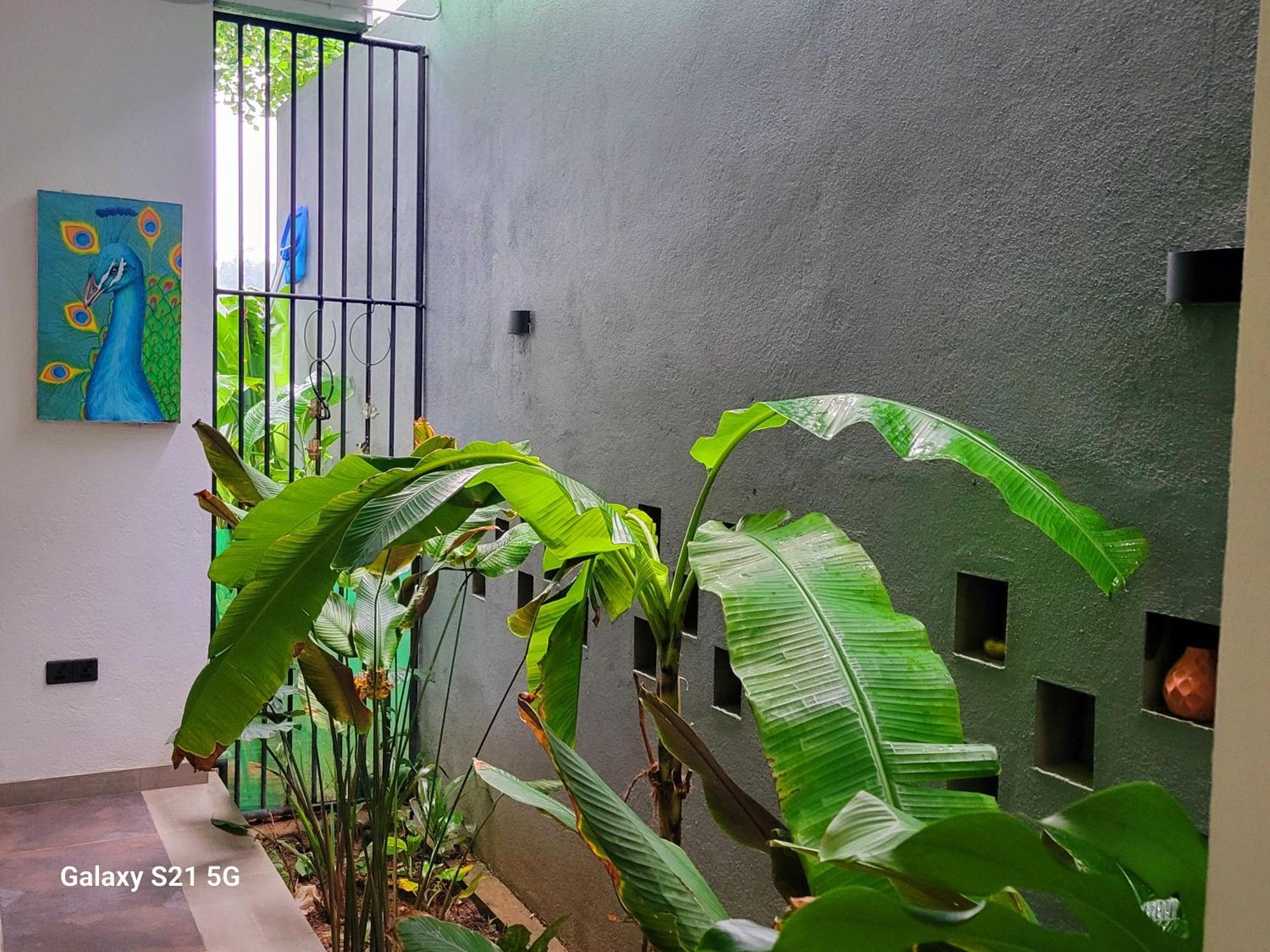 Barefoot Bungalow Hikka هيكادوفا المظهر الخارجي الصورة