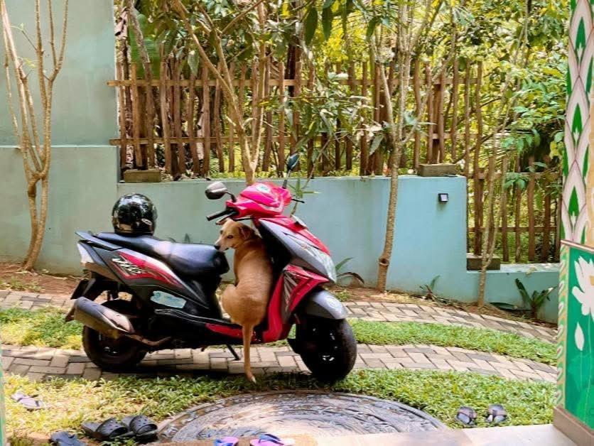 Barefoot Bungalow Hikka هيكادوفا المظهر الخارجي الصورة